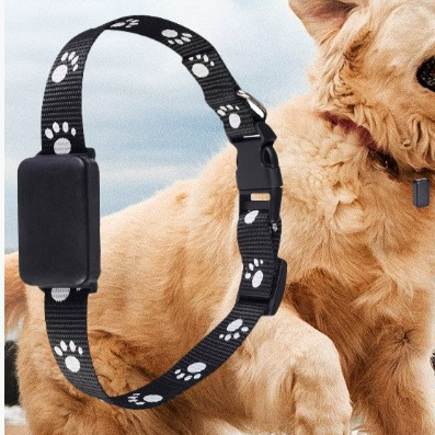 Pet GPS Tracker (Copy)