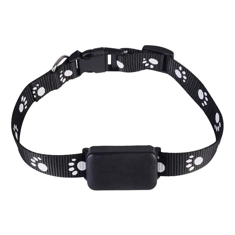 Pet GPS Tracker (Copy)